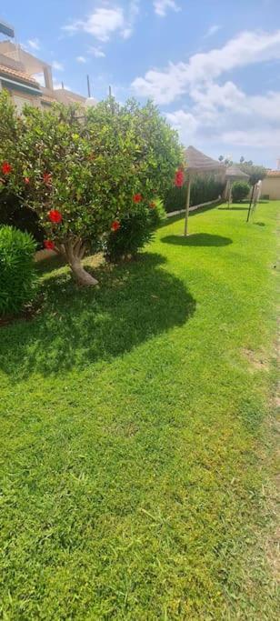 Bungalow Avec Piscine Torrevieja Kültér fotó