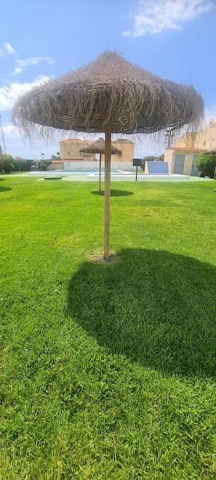 Bungalow Avec Piscine Torrevieja Kültér fotó